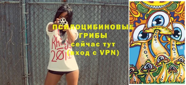 марки lsd Нязепетровск