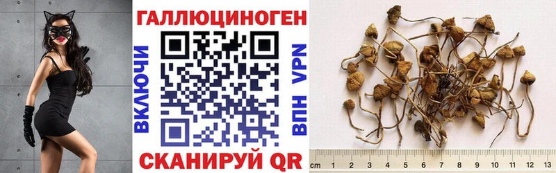 Псилоцибиновые грибы Magic Shrooms Рассказово