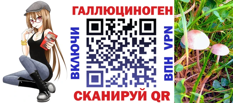 Псилоцибиновые грибы GOLDEN TEACHER  Рассказово 